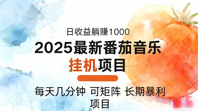 2025年最新番茄音乐人挂机项目，每天几分钟，月入1000＋，可矩阵，一台...-爱搞米