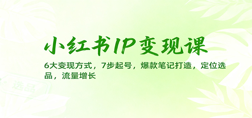 小红书IP变现课:6大变现方式,7步起号,爆款笔记打造,定位选品,流量增长-爱搞米