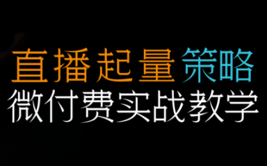 半野老师·直播带货起量与微付费必学课视频号-爱搞米